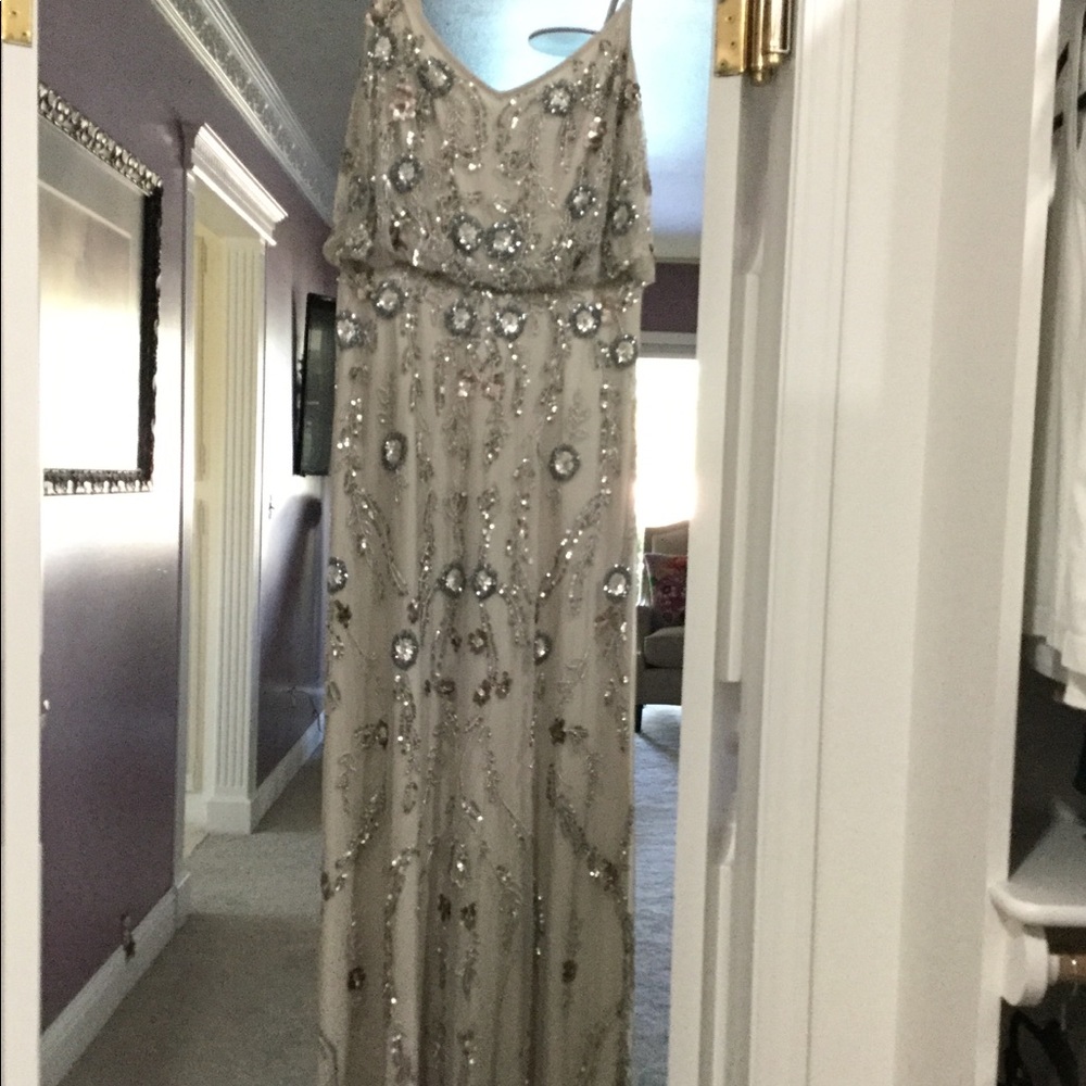 Adrianna Papell Evening Gown